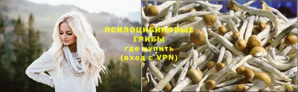 2c-b Заволжье