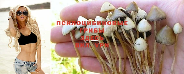 спиды Заволжск